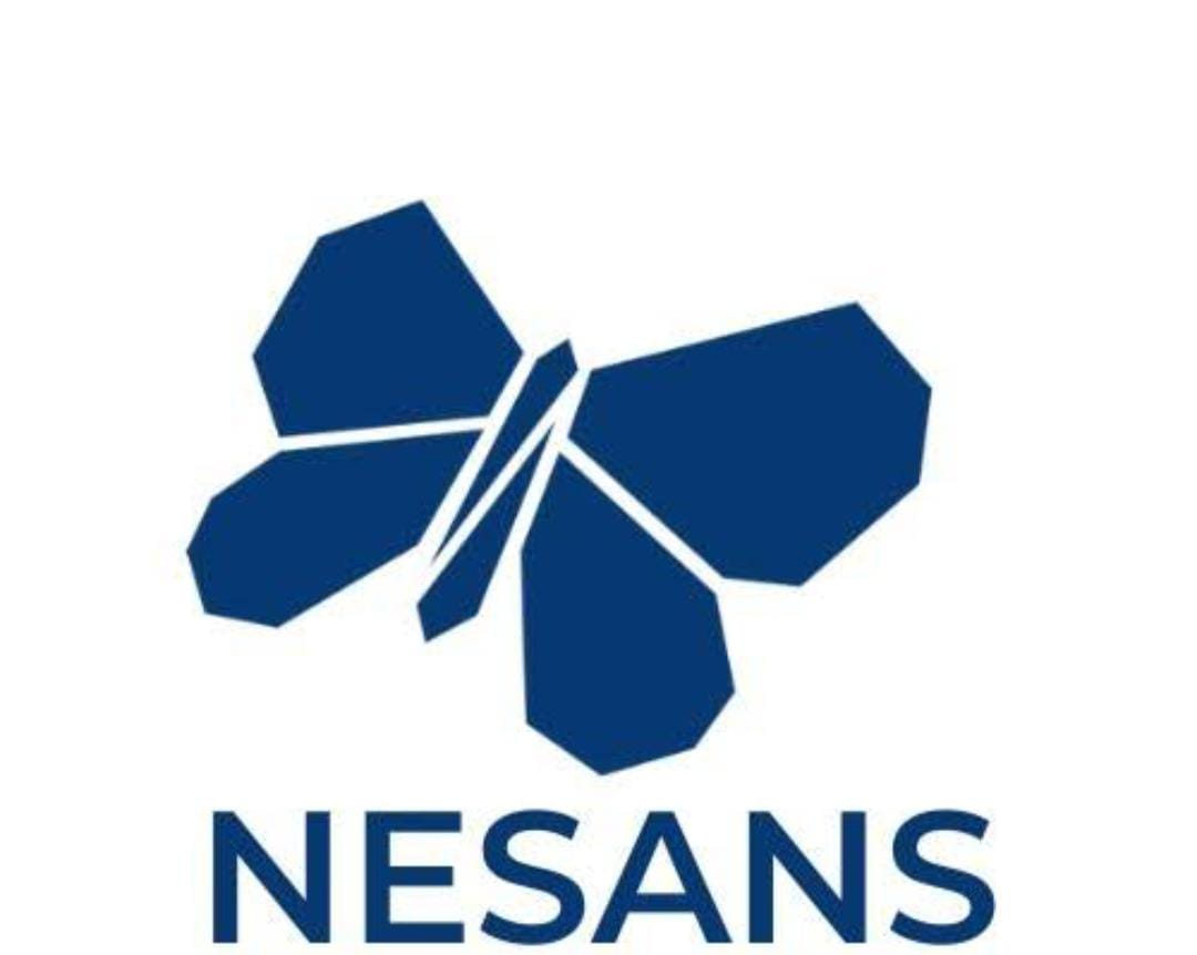Nesans Mining & Automation Pvt Ltd