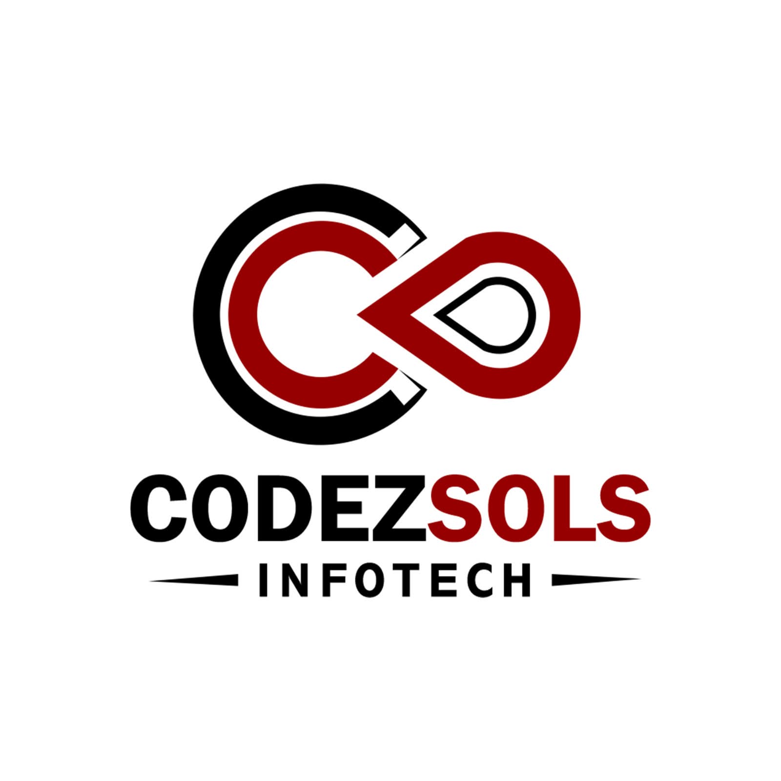 Codezsols Infotech